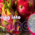 สวัสดีเดือนมีนาคม! - อดัมแอ๊ปเปิ้ลคลับเชียงใหม่ มาฉลองเดือนมีนาคมที่ Adam’s Apple Club เชียงใหม่ กันดีกว่า!