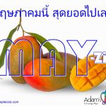 สวัสดีเดือนพฤษภาคม! - อดัมแอ๊ปเปิ้ลคลับเชียงใหม่ มาฉลองเดือนใหม่แบบ A-MAY-ZING เริ่มต้นเดือนใหม่ด้วยความรู้สึกที่ "A-MAY-ZING" ไปด้วยกัน!