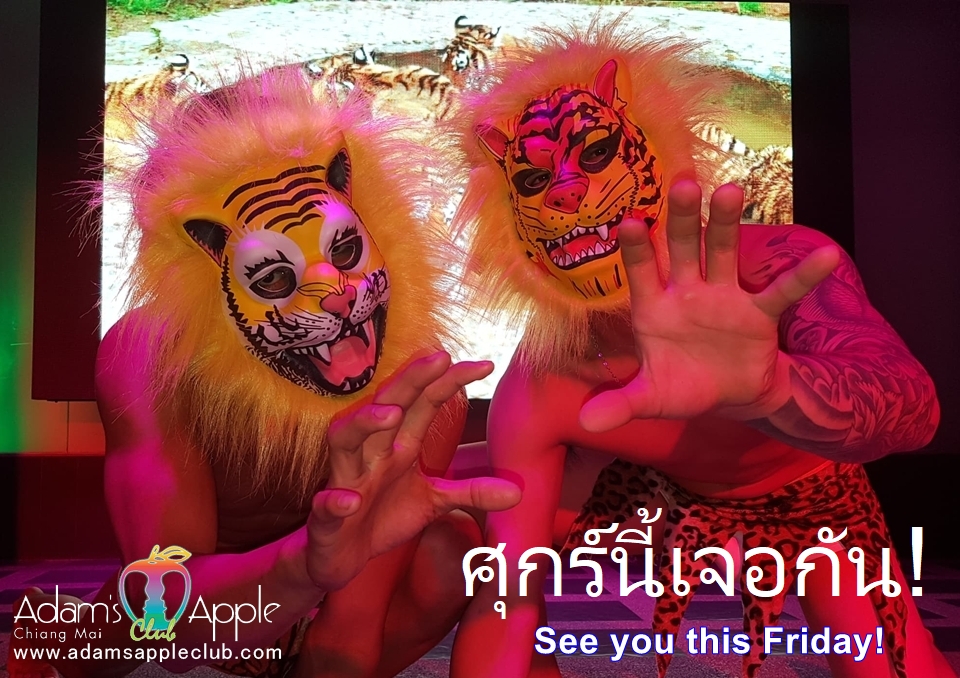 ศุกร์นี้เจอกัน! - อดัมแอ๊ปเปิ้ลคลับเชียงใหม่ พบกับโชว์คาบาร่าชายและแดร็กควีนสุดอลังการ แสงสีเสียงจัดเต็ม เครื่องดื่มราคาชัดเจน ไม่มีชาร์จเพิ่ม