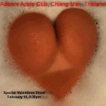 Valentines Party Adams Apple Gay Club Chiang Mai