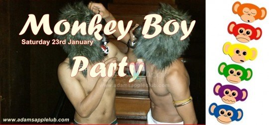 Monkey Boy Party Adams Apple Club Chiang Mai