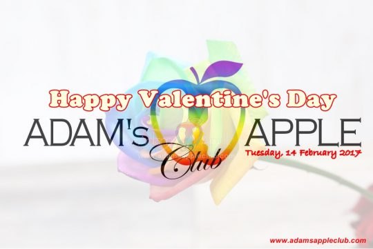 Valentine's Day 2017 Adams Apple Club Banner