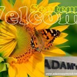 Hello September Adams Apple Club