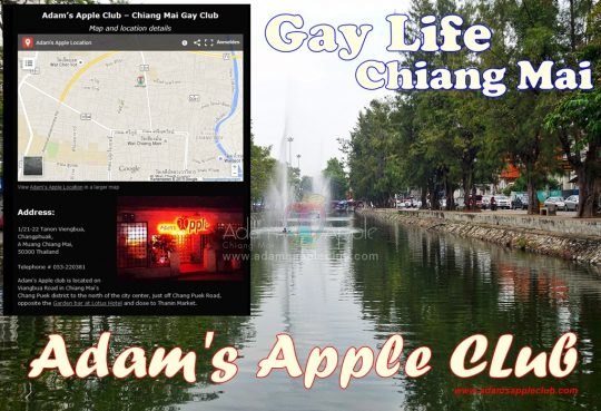 Chiang Mai Gay Life Adams Apple Club