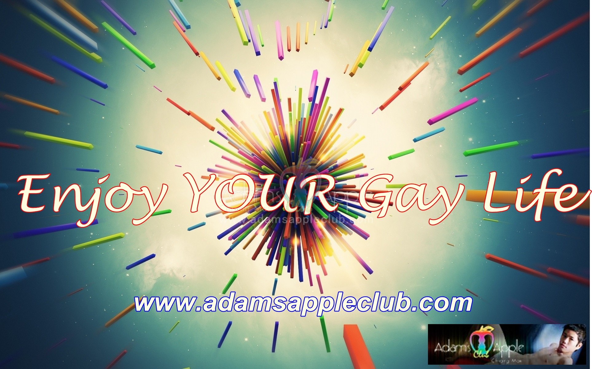No. 1 Gay Bar in Chiang Mai Most friendliest Adams Apple Club