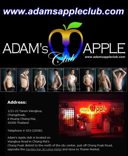 Adams Apple Club Chiang Mai Gay Bar