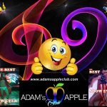 Adams Apple Club Chiang Mai Best Show