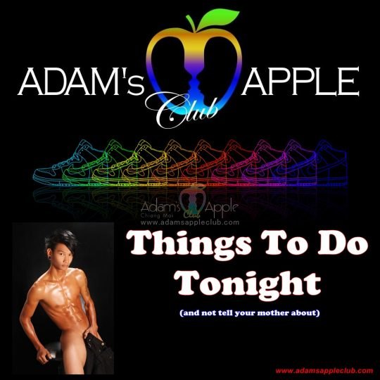 Adams Apple Club Chiang Mai Gay Life