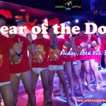 Chinese New Year Adams Apple Club Chiang Mai Year of the Dog
