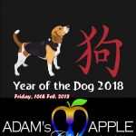 Chinese New Year Adams Apple Club Chiang Mai Year of the Dog