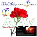 Hallo May Adams Apple Club Chiang Mai