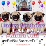 MEGA BIRTHDAY PARTY for our Mama Sun