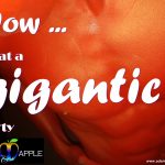 GIGANTIC Adams Apple Club RED Party