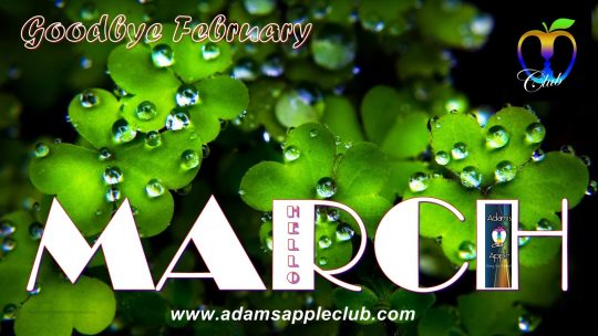Adams Apple Club Chiang Mai MARCH 2019