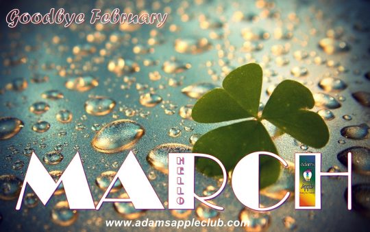Adams Apple Club Chiang Mai MARCH 2019