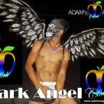 Dark Angel Adam's Apple Club Chiang Mai
