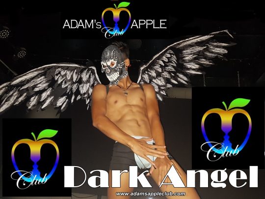 Dark Angel Adam's Apple Club Chiang Mai