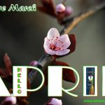 Hello April 2019 Adams Apple Club