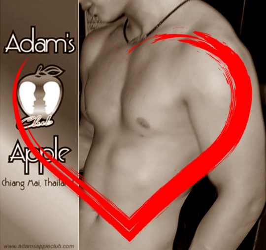 Hot Asian Boys Adams Apple Club LOVE ANGELS