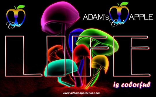 LIFE is colorful Adams Apple Club Chiang Mai