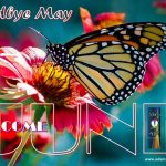 Hello June 2019 Adams Apple Club CNX