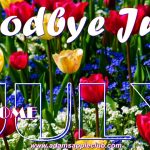 Hello JULY Adams Apple Club CNX