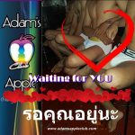 รอคุณอยู่นะ Waiting for YOU Adams Apple Club