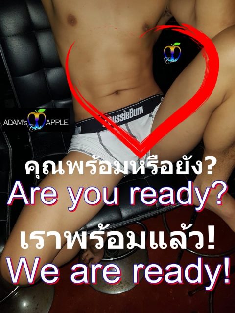 Adams Apple Club Chiang Mai You are ready