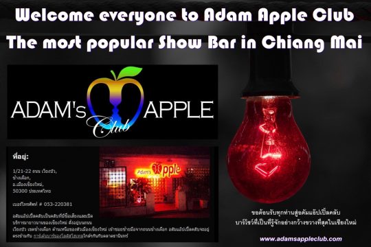 Adams Apple Club The most popular Show Bar in Chiang Mai