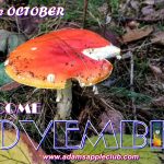 Welcome November 2019 Adams Apple Club
