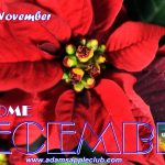 Welcome December 2019 Adams Apple Club