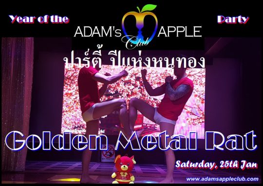 Year of Golden Metal Rat Adams Apple Club