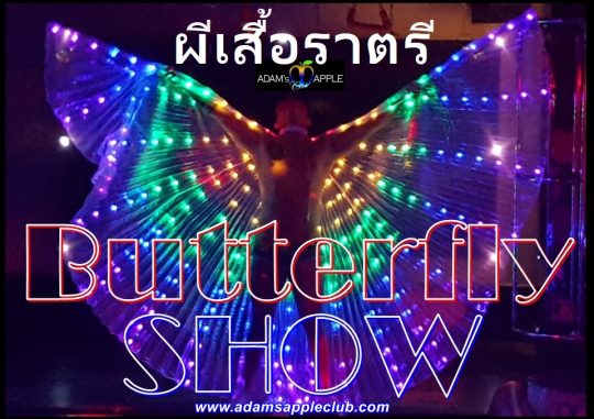Butterflies ผีเสื้อราตรี Adam's Apple Club Chiang Mai