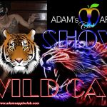 Wild Cat Show Adams Apple Club