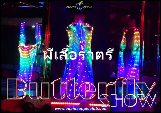 Butterflies ผีเสื้อราตรี Adam's Apple Club Chiang Mai