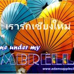 Come under my UMBRELLA Chiang Mai