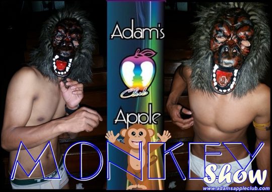  Crazy Monkey Show Adams Apple Club Host Bar Chiang Mai