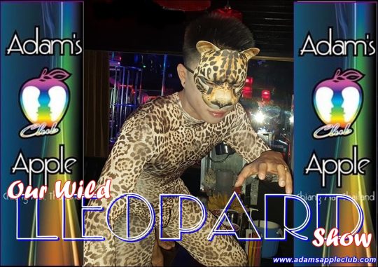 Our Wild Leopard Show Adams Apple Club