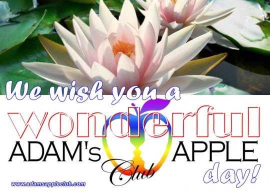 We wish you a wonderful day! Adams Apple Club