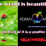 Beautiful World Adam's Apple Club Host Bar Chiang Mai