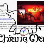 Gay Bar Chiang Mai Adams Apple Club