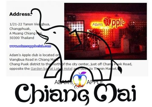 Gay Bar Chiang Mai Thailand Adams Apple Club