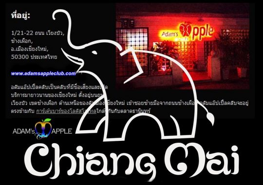 Gaybar Chiang Mai Adams Apple Club