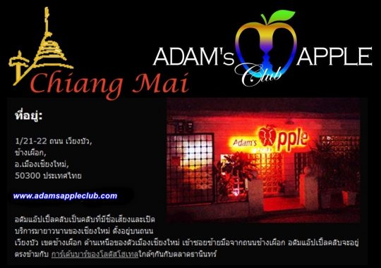 Gaybar Chiang Mai Adams Apple Club