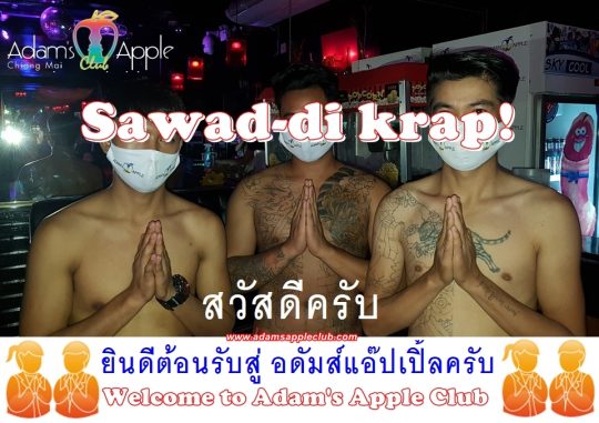 Sawad di khrap! Adams Apple Club Chiang Mai Gay Bar Thailand. Most Exciting Shows @ Adams Apple Club Chiang Mai, Thailand