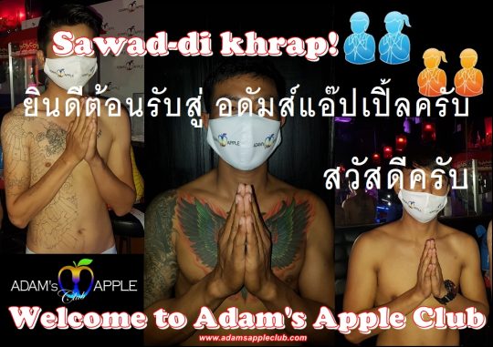 Sawad di khrap! Adams Apple Club Chiang Mai Gay Bar Thailand. Most Exciting Shows @ Adams Apple Club Chiang Mai, Thailand
