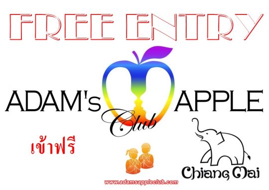 Free Entry Gay Bar Chiang Mai Adams Apple Club