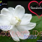 Happy Mother's Day 2020 Adams Apple Club Chiang Mai
