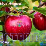 Goodbye August Welcome SEPTEMBER 2020 Adams Apple Club Chiang Mai