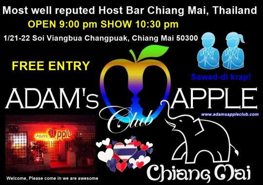 Bar Host Chiang Mai Adams Apple Club Thailand Ladyboy